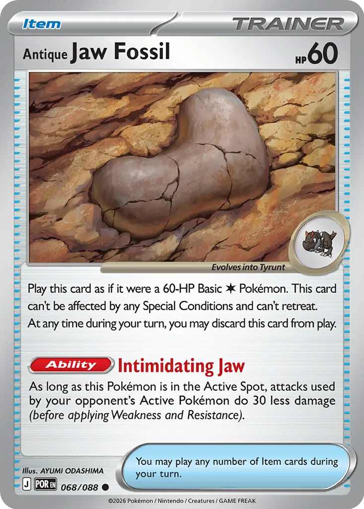 Antique Jaw Fossil