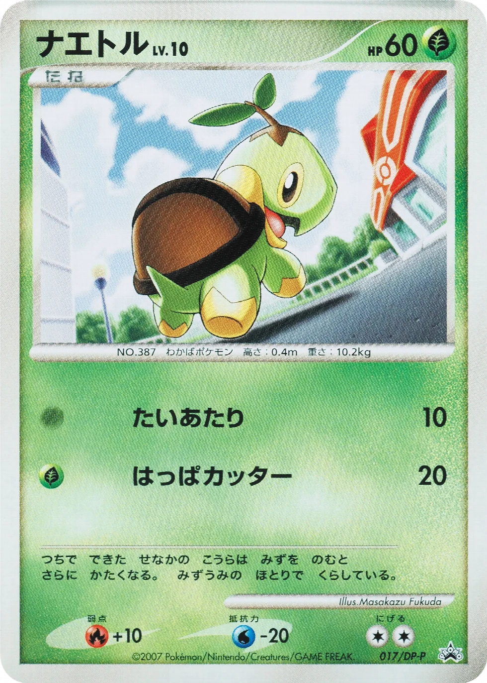 Turtwig
